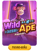 AJMBET123 ทดลองเล่นสล็อตฟรี Wild Ape